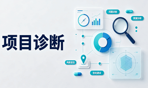 项目诊断