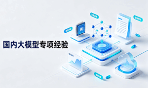 大模型经验